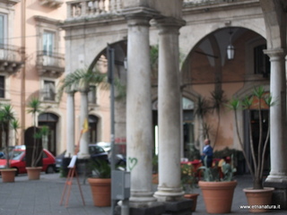 tania Romana-Colonne romane piazza Mazzini 25-01-2009 05-35-06